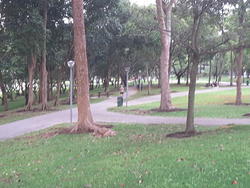 Archipelago (D16), Condominium #155727492
